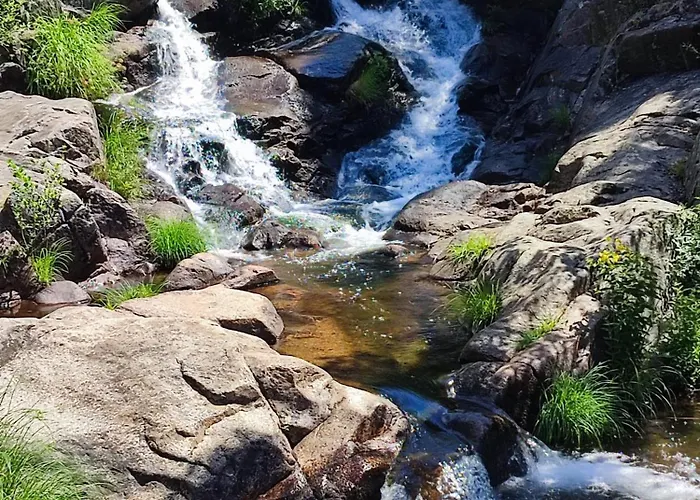 Casa Rogelio Valverde Апартаменты *